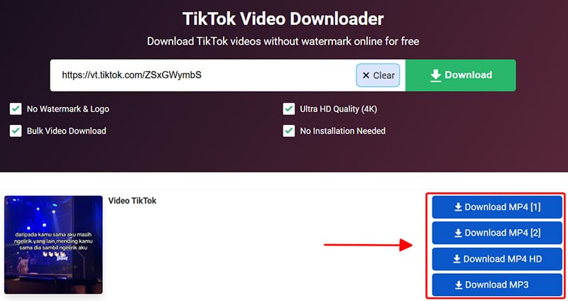 Save TikTok videos with SaveTik